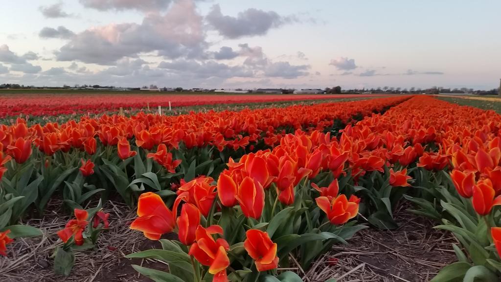Logement Hellevoetsluis Esterno foto